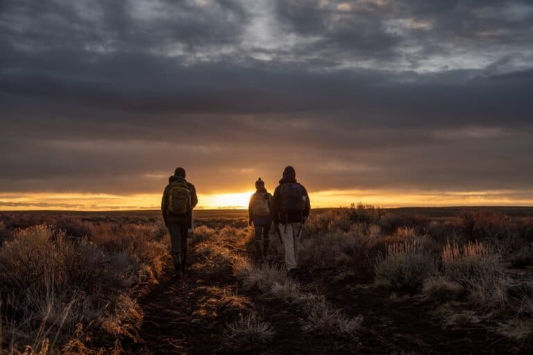 Biologists from the Idaho Fish and Wildlife Office hike at sunrise to survey for greater sage-grouse in Owyhee County, Idaho.