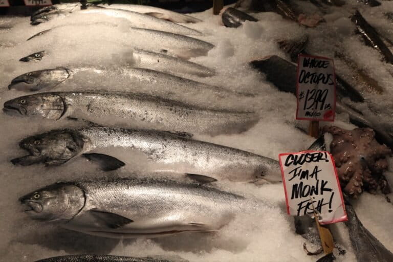 Fish for sale at a market in the United States. Image by Daniel Schwen via Wikimedia Commons (CC BY-SA 3.0).