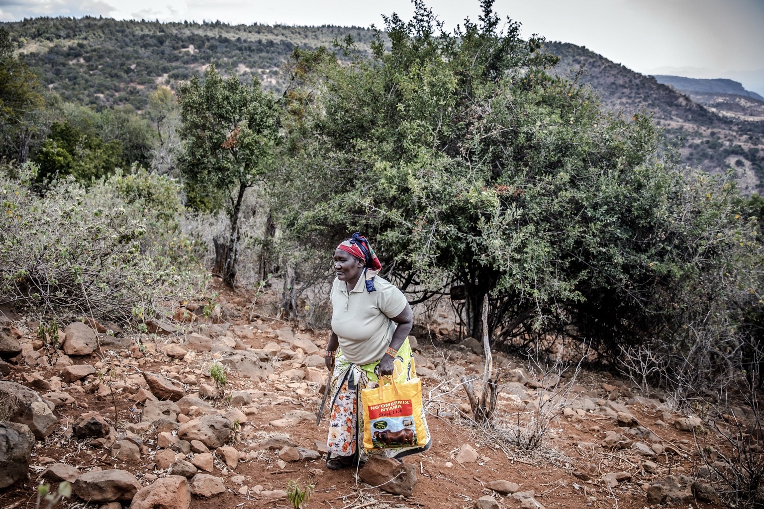 An herbalist walks through the site of a restoration project by the Food and Agriculture Organization of the United Nations with Kenyan government for the Mukugodo forest landscape. Image © FAO/Luis Tato.