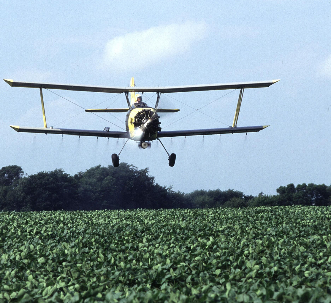 A crop duster agricultural airplane sprays soy plants.