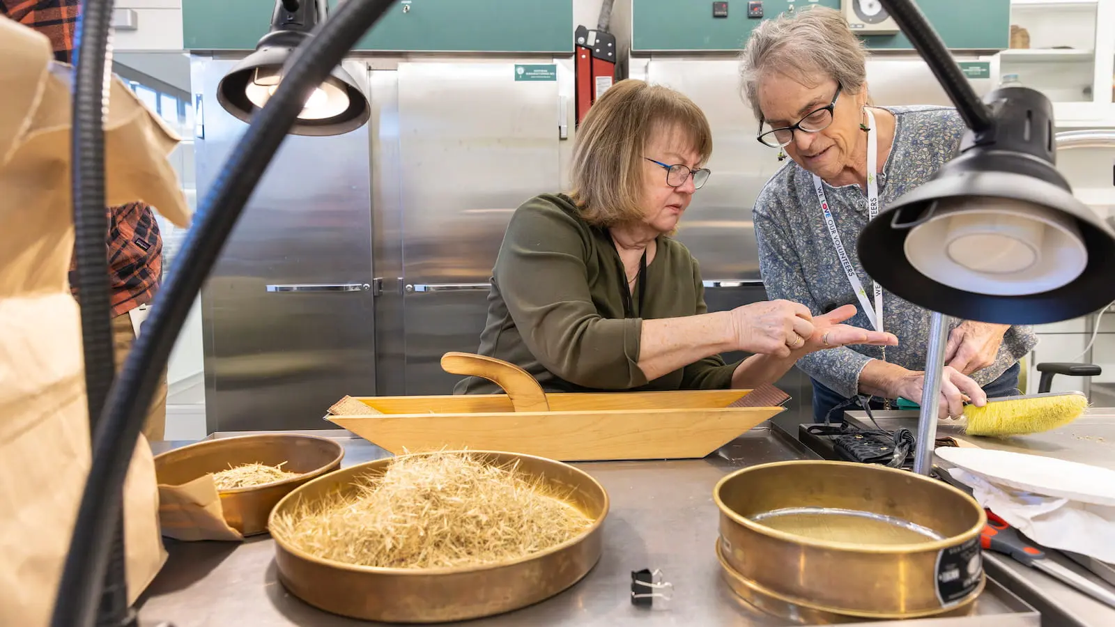 Volunteers handle small seeds inside a Chicago Botanic Garden lab