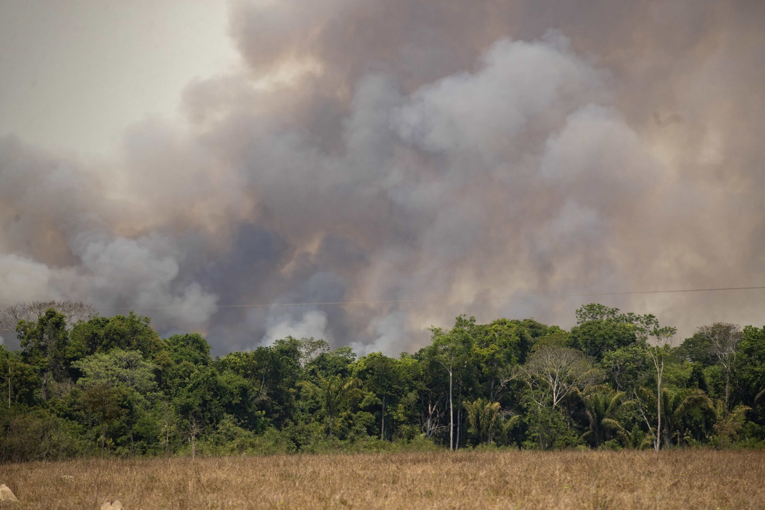 Fires consume an area near Novo Progresso, Para state, Brazil, Saturday, Aug. 15, 2020. According with a local farmer, the fire was set by ranchers to clear the area for soybeans cropping. Image by AP Photo/Andre Penner.