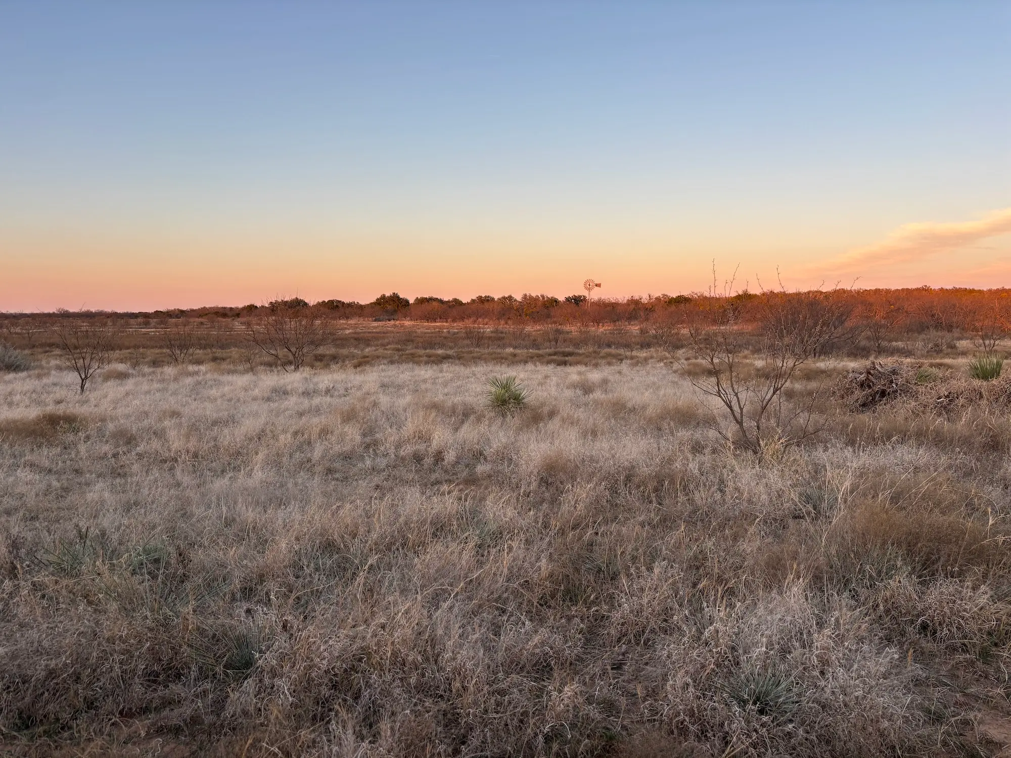 the sun sets over a quiet, grassy field