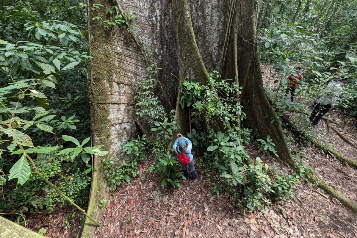 Alexa Velez in the Amazon rainforest. Photo by Rhett Ayers Butler