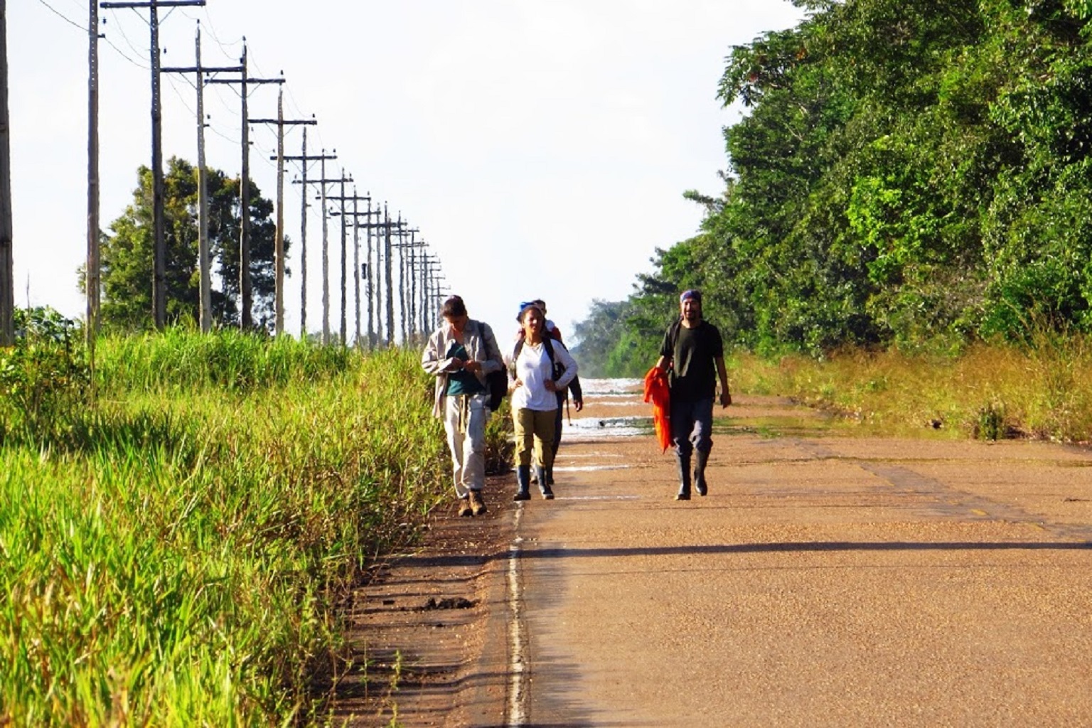 Field researchers walk along the BR-319, a Brazilian highway that gives them access to a 600-kilometer (373-mile) transect deep inside the Amazon Rainforest. Starting in 2009 and continuing to today, the field team has regularly monitored palms and other trees growing in 25 plots of 1 hectare (2.5 acres) each in shallow water table forests far off the road to gauge how they’re responding to severe drought conditions.