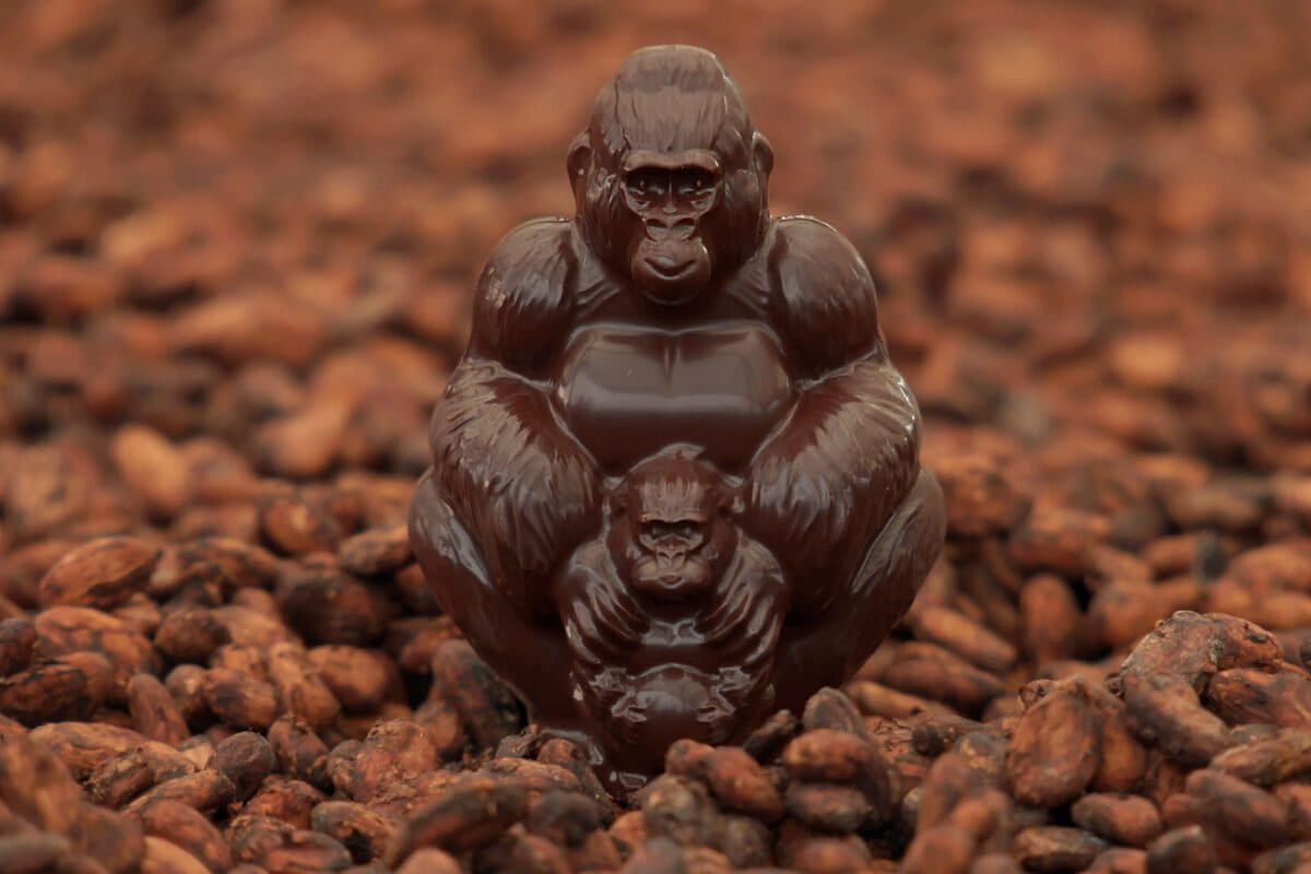 Virunga Chocolate Gorilla. Courtesy of Virunga.org