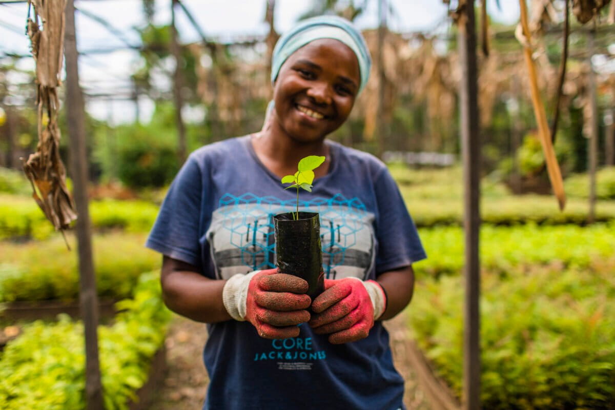 Charlotte works in the nursery to support the reforestation of areas affected by deforestation in Matebe, in Virunga National Park. Photos by Bobby Neptune