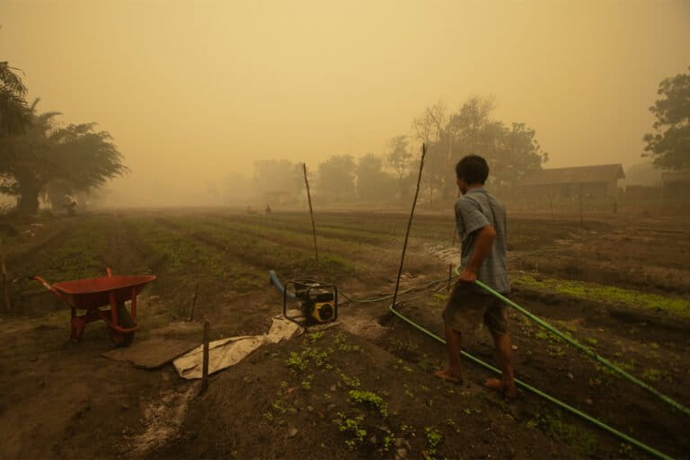 A farmer waters his crops behind his house in the thick smoke from wild fires.