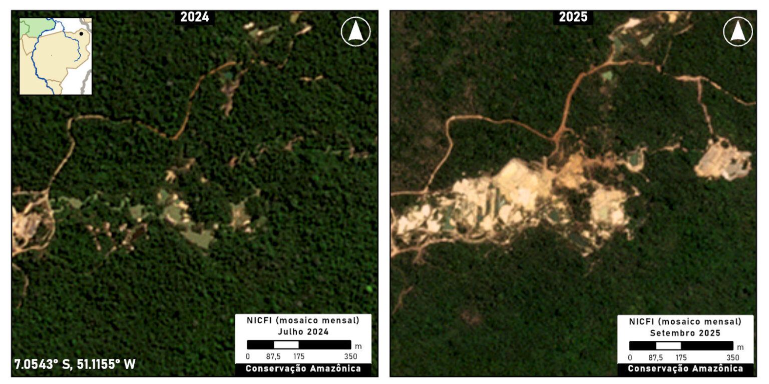 Mining in the northeast of the Kayapó Indigenous Territory. Image courtesy of MAAP. Data from Planet/NICFI.