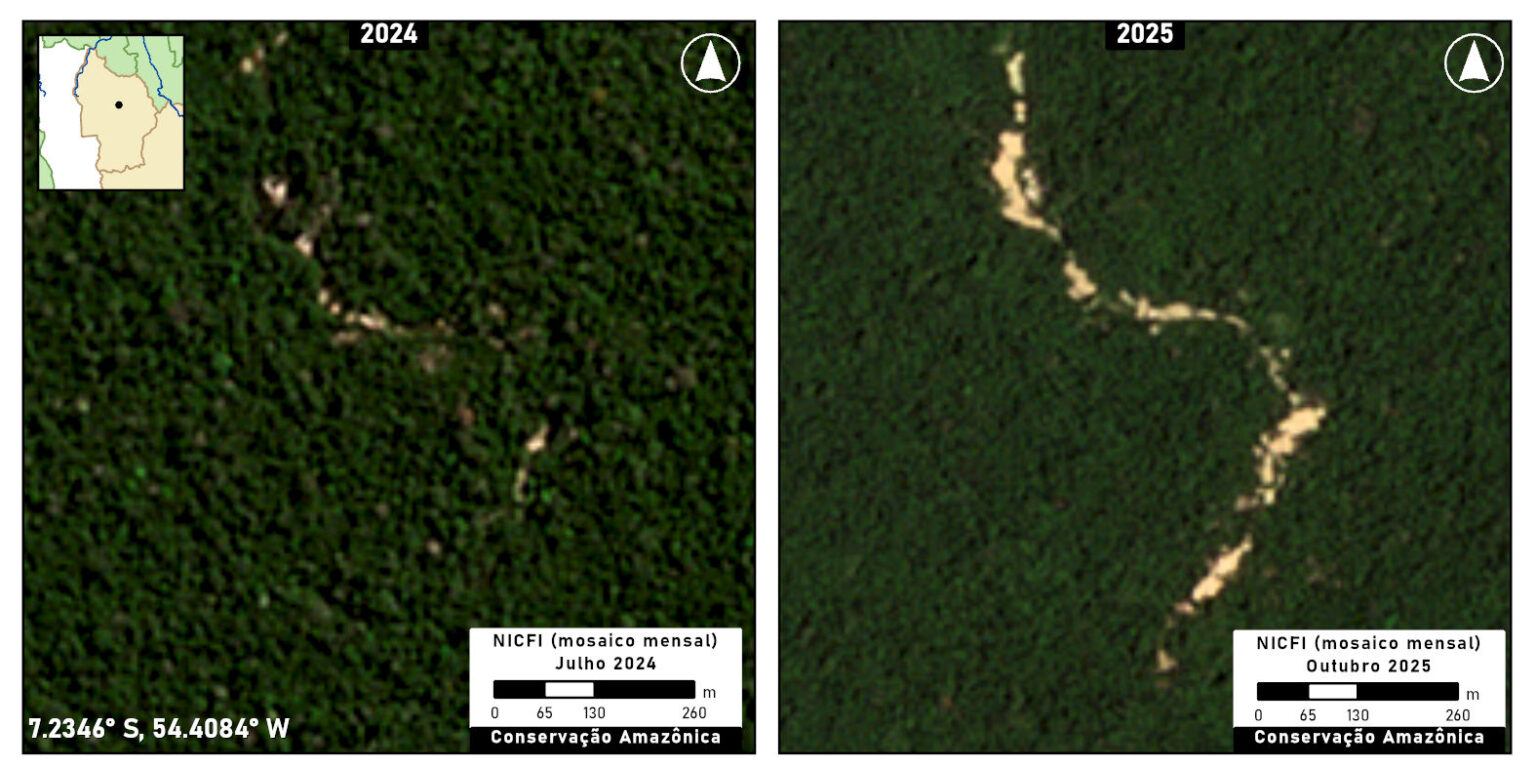 Mining in Baú Indigenous Territory. Map courtesy of MAAP. Data by Planet/NICFI.