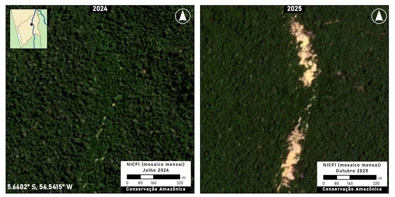Mining in Kuruaya Indigenous Territory. Map courtesy of MAAP. Data by Planet/NICFI.