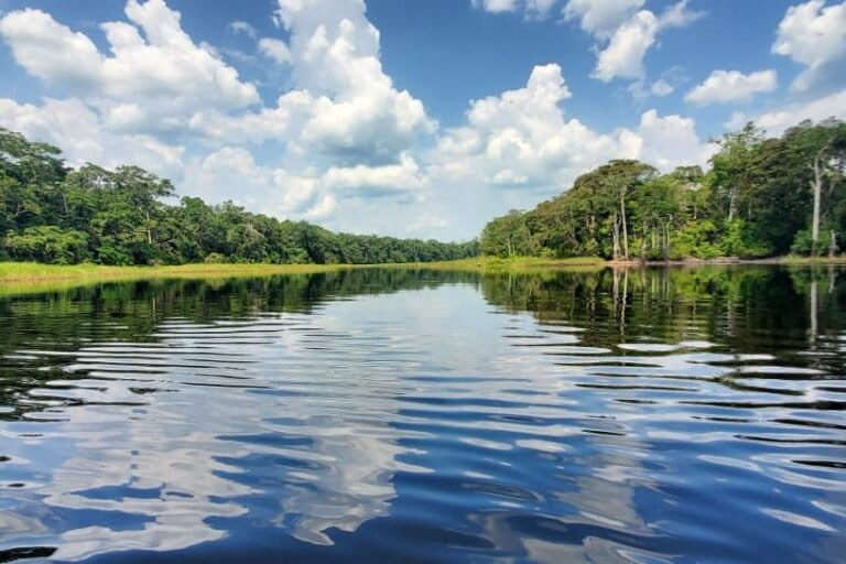  Several rivers flow through Salonga National Park, and efforts are currently underway to transform these natural assets into tourist attractions. Image by David Akana/Mongabay.
