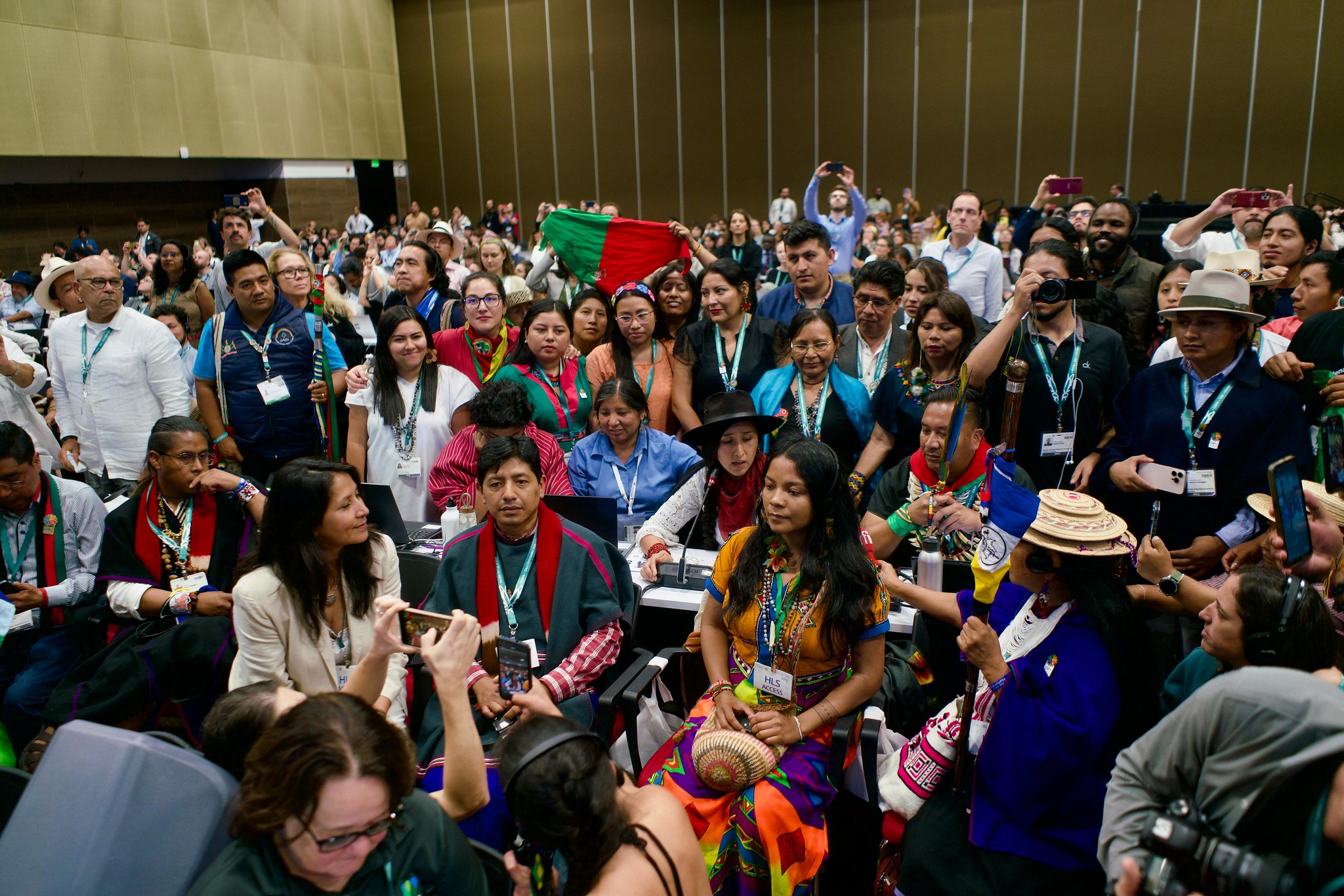 Indigenous delegates at the COP16 U.N. biodiversity conference's last plenary on Nov. 1. Image by UN biodiversity via Flickr (CC BY 2.0)