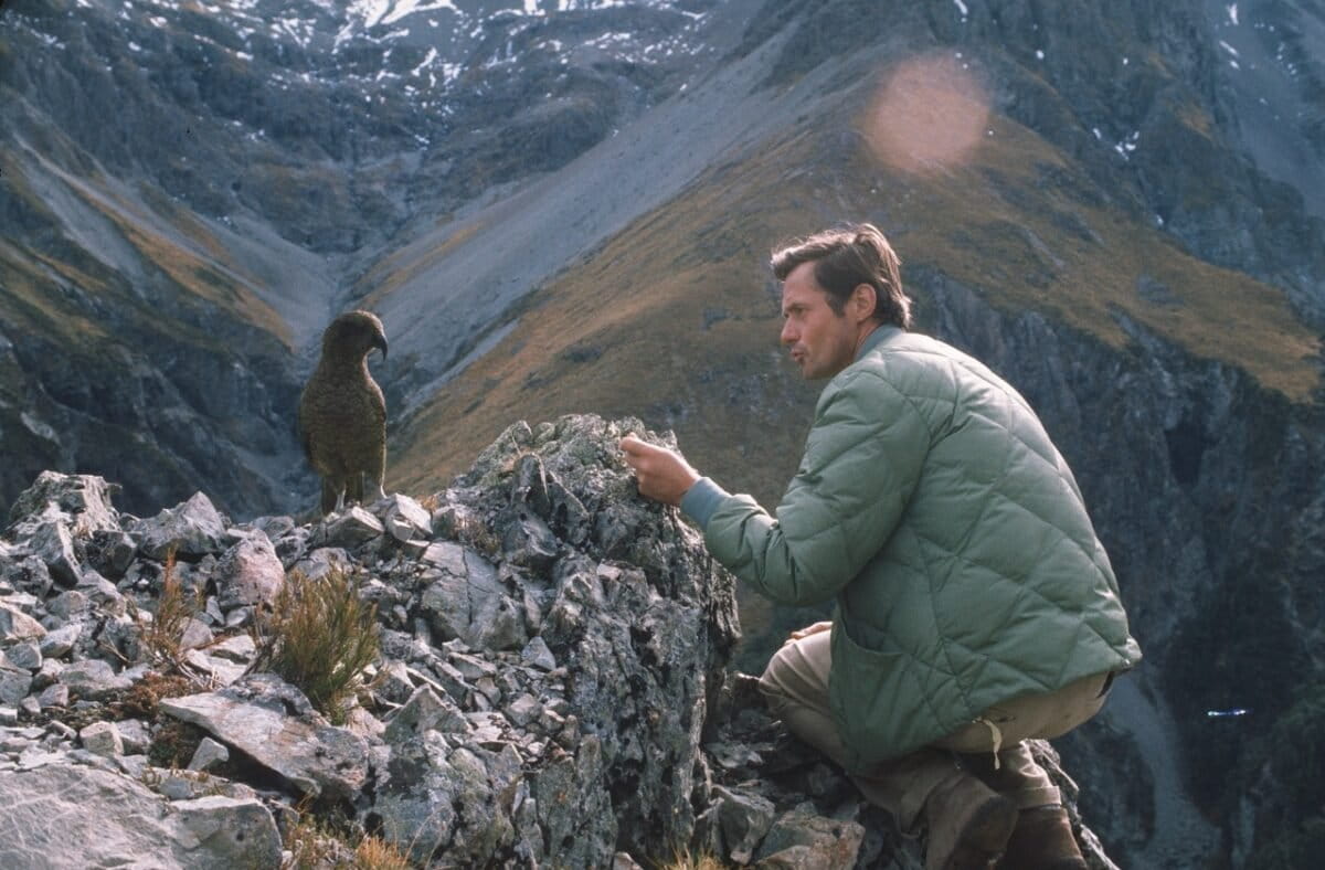 Schaller calling on a Kea parrot in New Zealand in 1974. Photo courtesy of the George B. Schaller Archive.