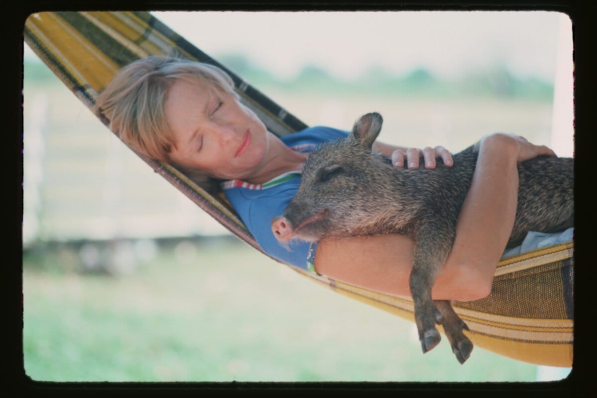 Kay with a rescued baby white-lipped peccary became part of the family until she grew too unruly and George had to release her to an unknown fate. Courtesy of the George B. Schaller Archive.