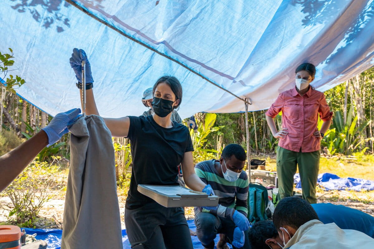 Field work in Madagascar. Image by Ryan Park.