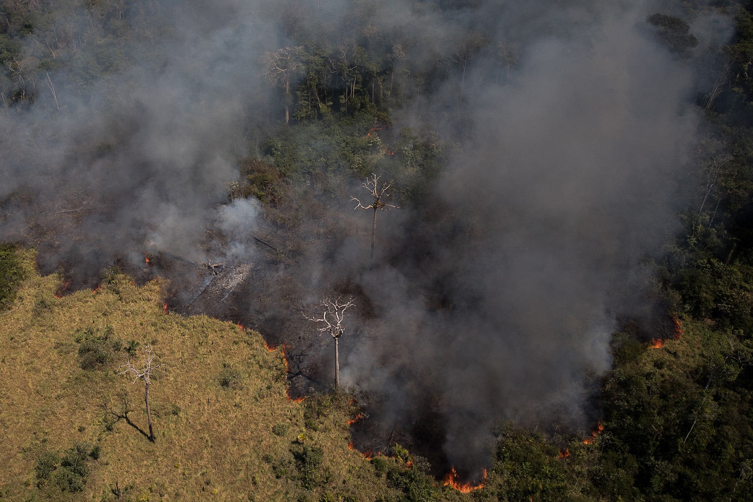 Imagem aérea de queimada próxima à Flona do Jacundá, em Rondônia.