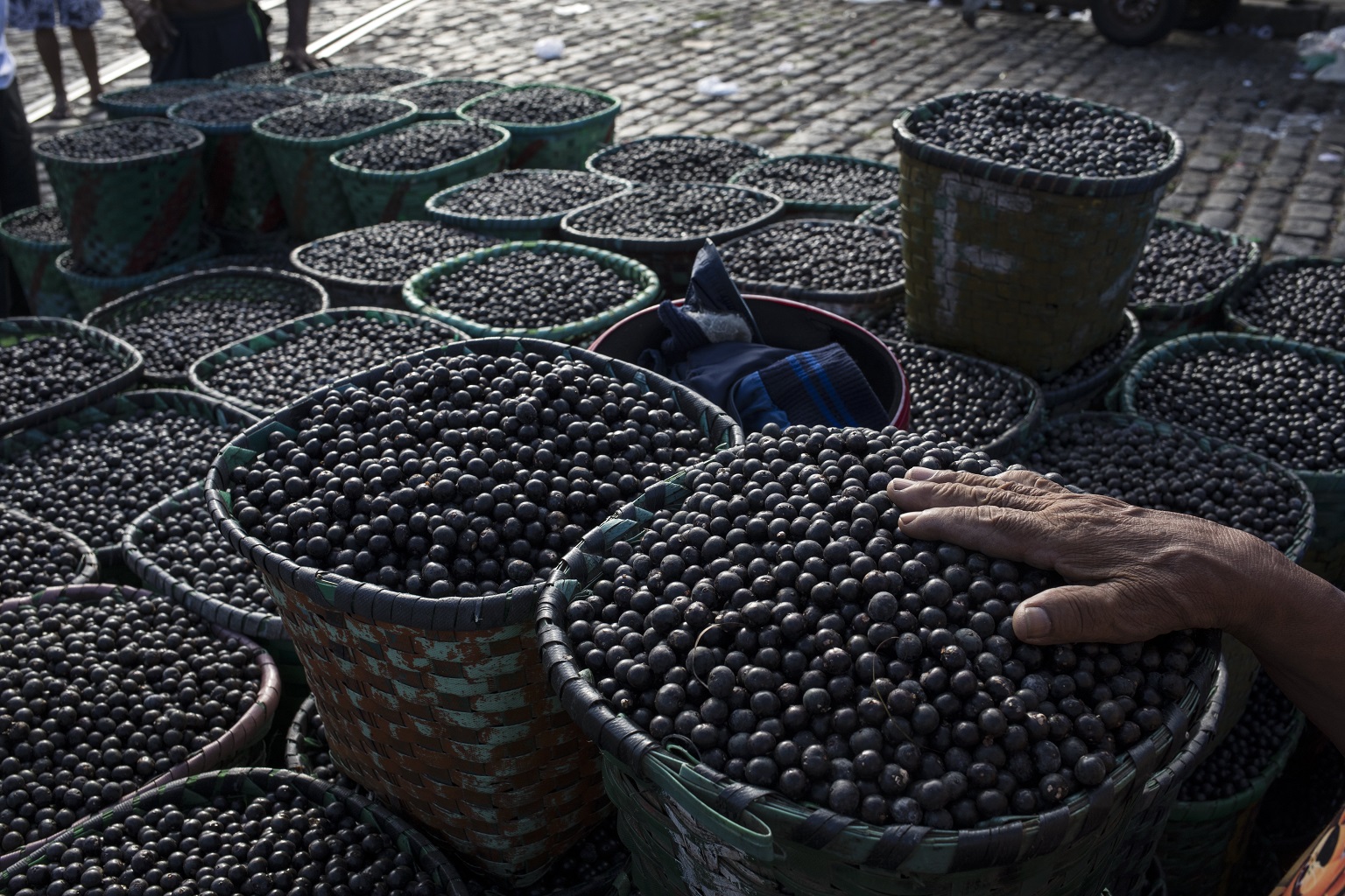 In this Sept. 7, 2019 photo, a vendor places his hand on açaí berries at the Ver-o-Peso riverside market in Belém, Brazil. Belém is the epicenter for the trade of the oily purple açaí that is a staple of native Amazon cuisine and a global superfood.