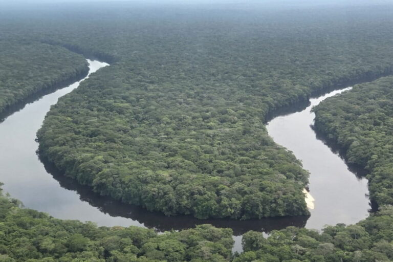 In Salonga National Park, conservation efforts led by organizations such as the WWF and the Congolese Institute for Nature Conservation (ICCN) aim to transform the park’s rivers (pictured) into tourist attractions, thereby creating jobs and improving the livelihoods of communities living around the park. Image by David Akana/ Mongabay.