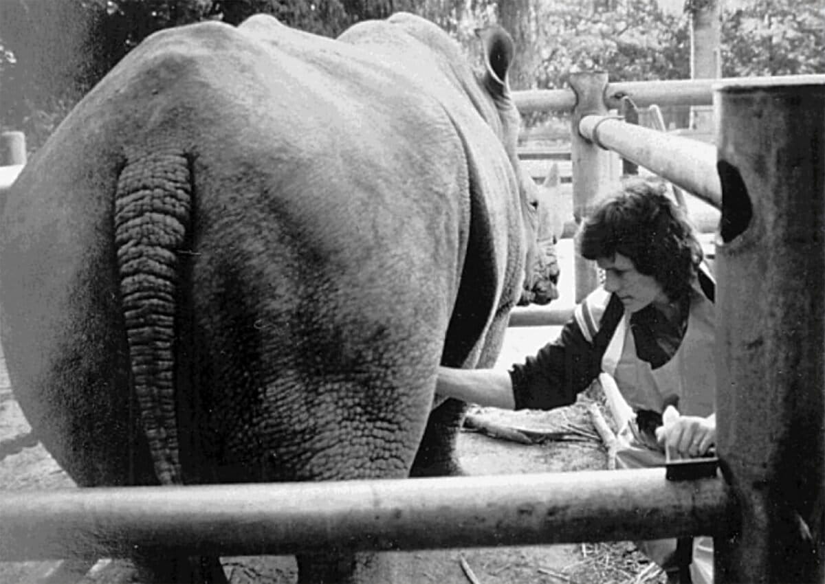 Nan Schaffer. Photo courtesy of Universiti Malaysia Sabah