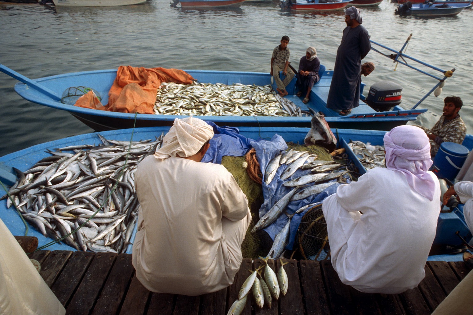 Fishers sitting on their boat in the harbor with a catch of fish from the Arabian Sea in 2022. Around 3 billion people depend on the ocean as a primary protein source, according to the U.N. Untreated wastewater poses risks for food security and human health.