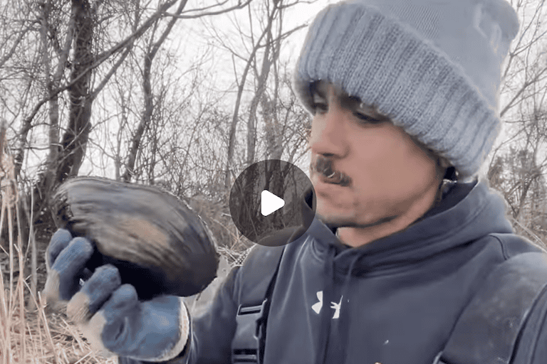 Chesapeake Bay water quality steward Austin Lewis's Instagram reels often share biological information about marine life or local history or news that relates to the bay.