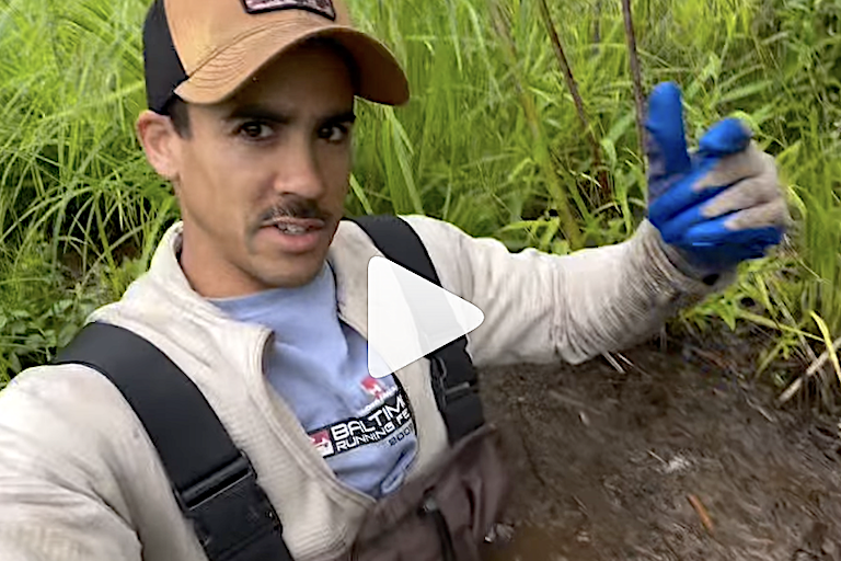 Chesapeake Bay water quality steward Austin Lewis's Instagram reels often share biological information about marine life or local history or news that relates to the bay.