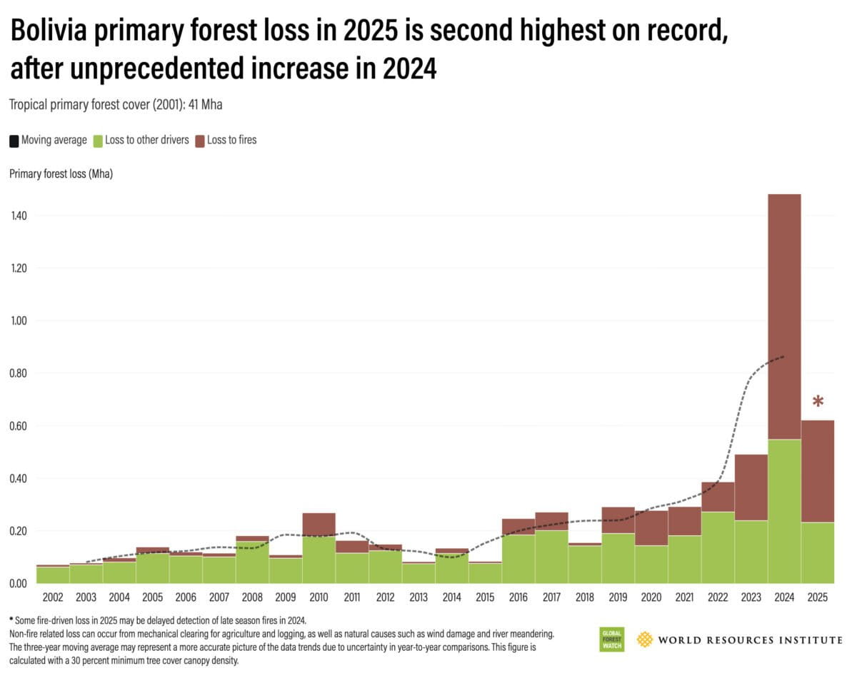 Annual primary forest loss in Bolivia since 2002. Data from the University of Maryland’s GLAD lab, presented by WRI's Global Forest Watch.