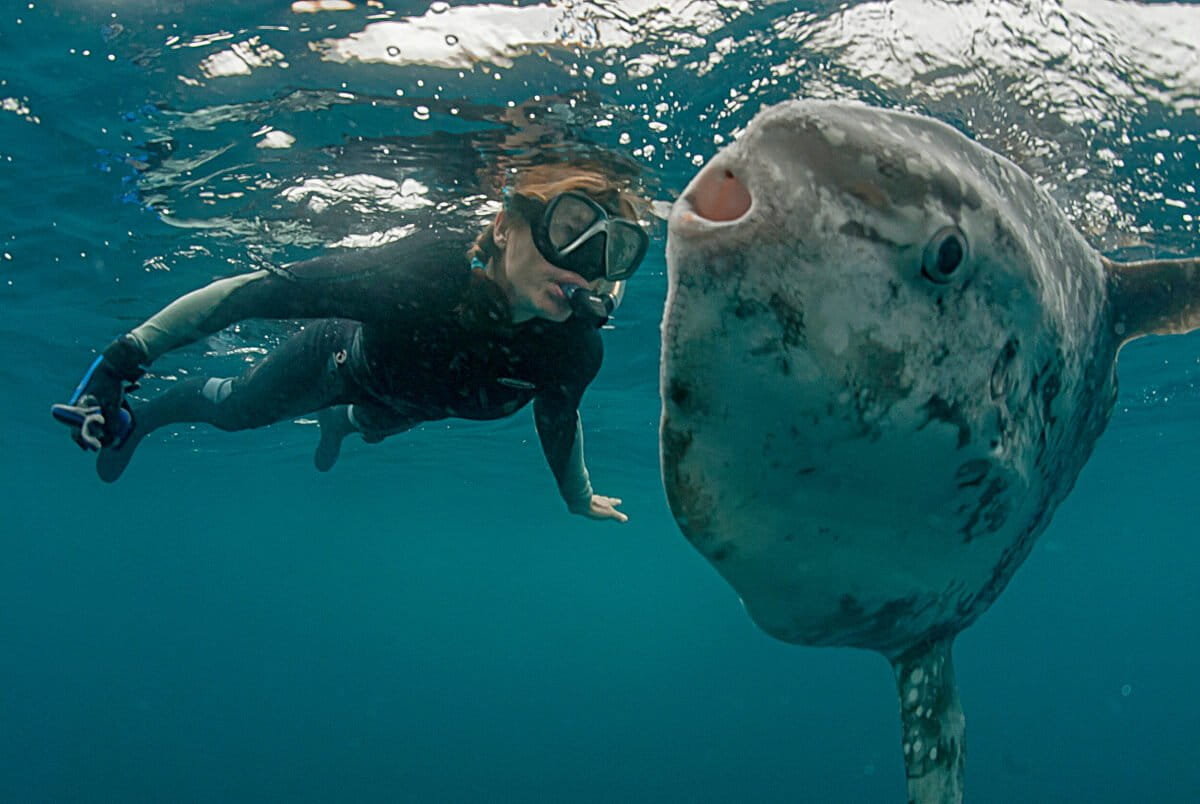 Tierney Thys with sunfish. Photo by Mike Johnson / Earth Window