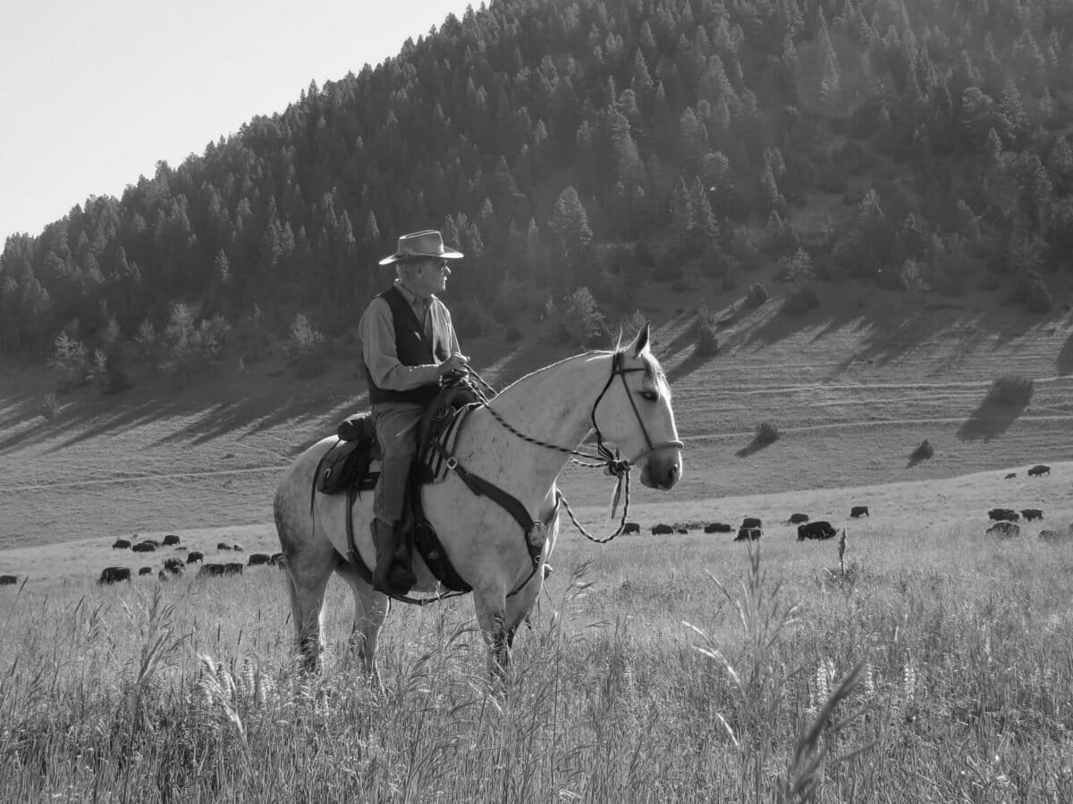 Turner at the Flying D Ranch south of Bozeman, Montana, in 2013. Photo by Elena Cizmaric