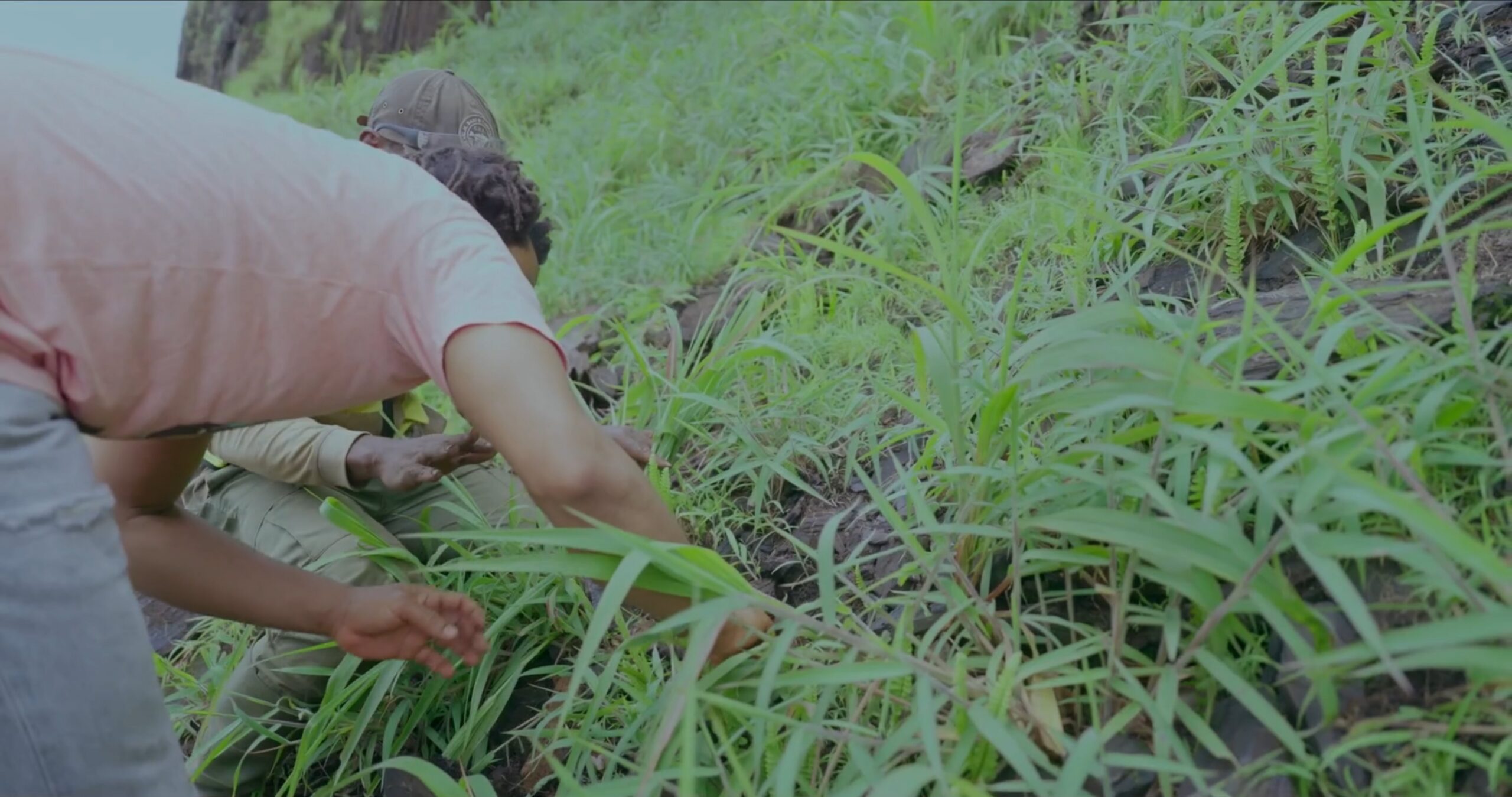 Kerwillian and Darpey search for a Nimba toad in a screenshot from “Overburden.”