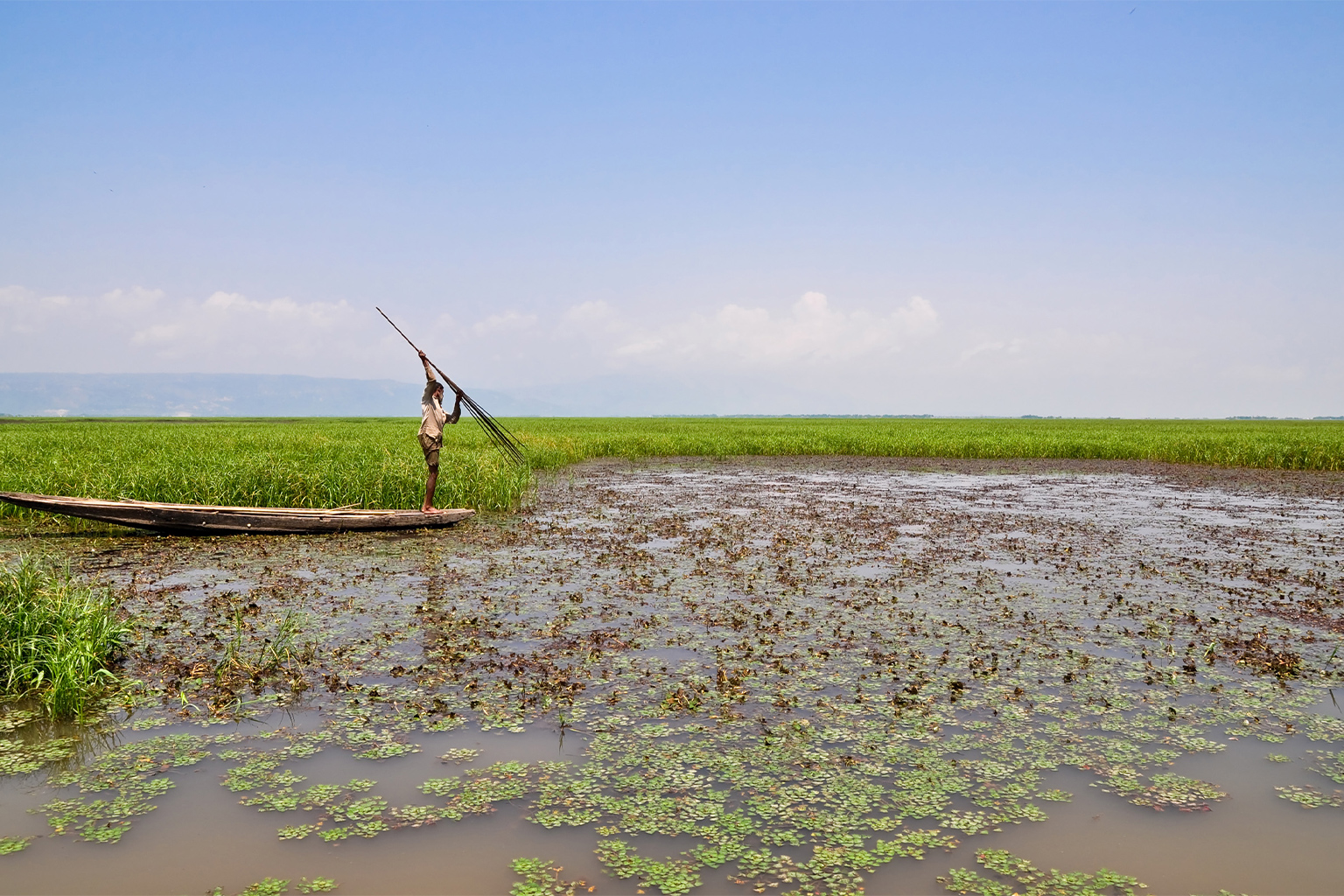 Fishing by spear (Juti in Bengali) in a haor of Sunamganj.