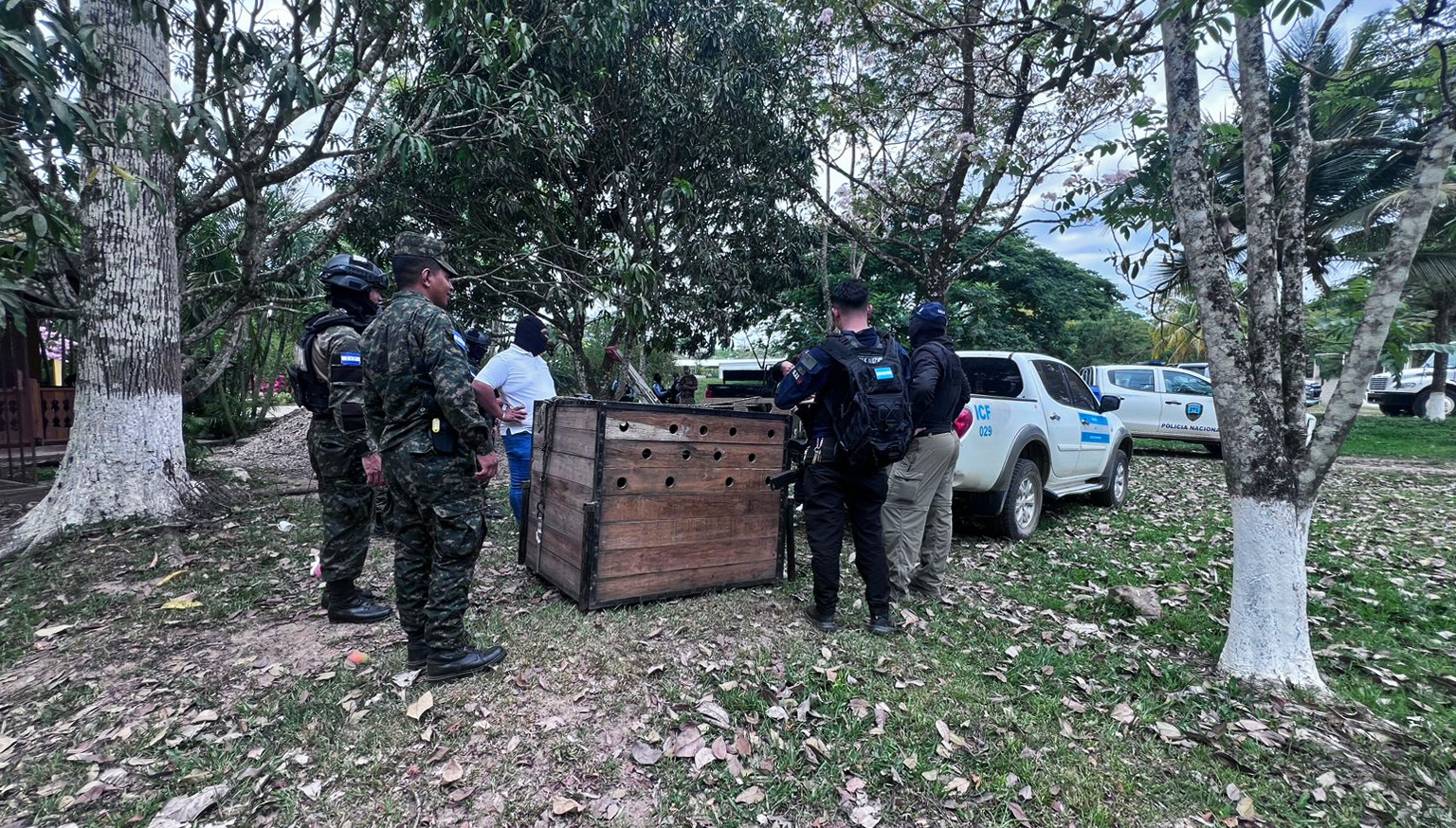 The seized jaguar was transported to a rehabilitation center operated by the Honduran armed forces.