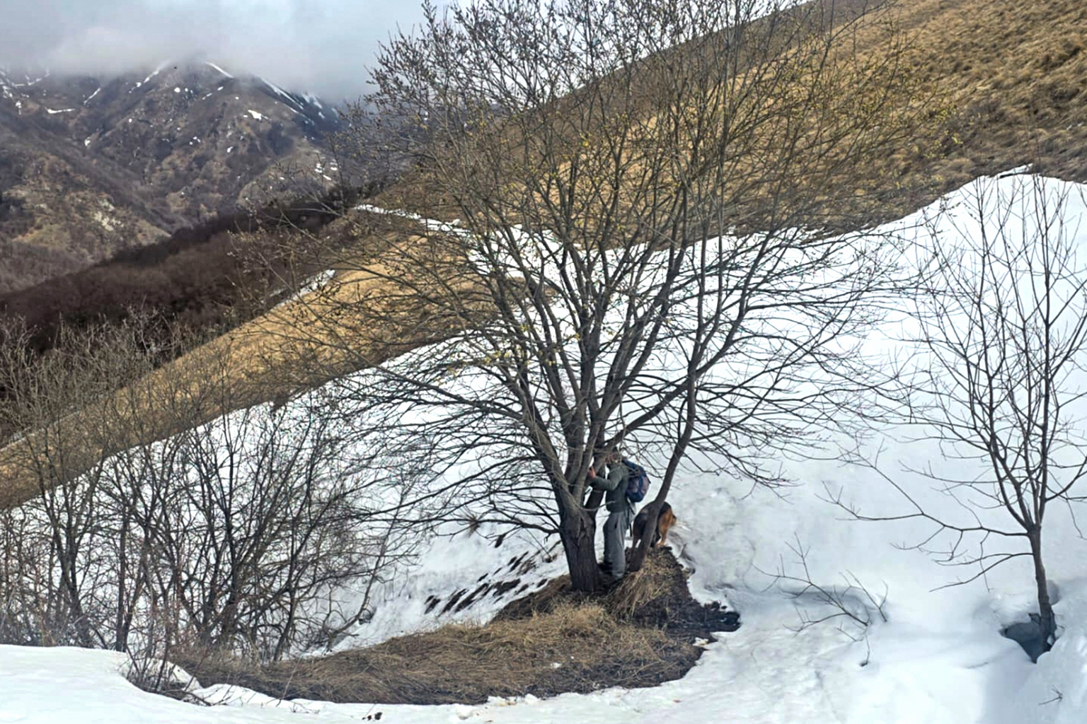 NACRES founder Bejan Lortkipanidze removes a camera trap in Algeti National Park on April 25, 2026.