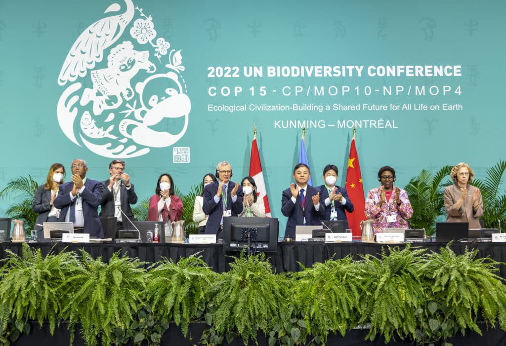 cop15 deal , cop15 , UN biodiversity conference