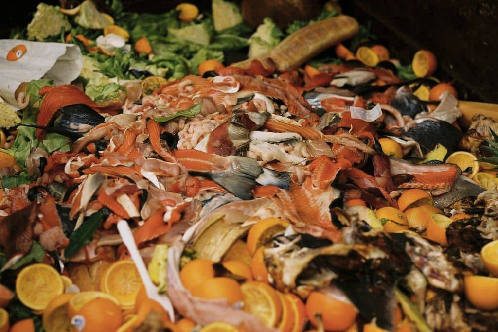 Food waste scraps