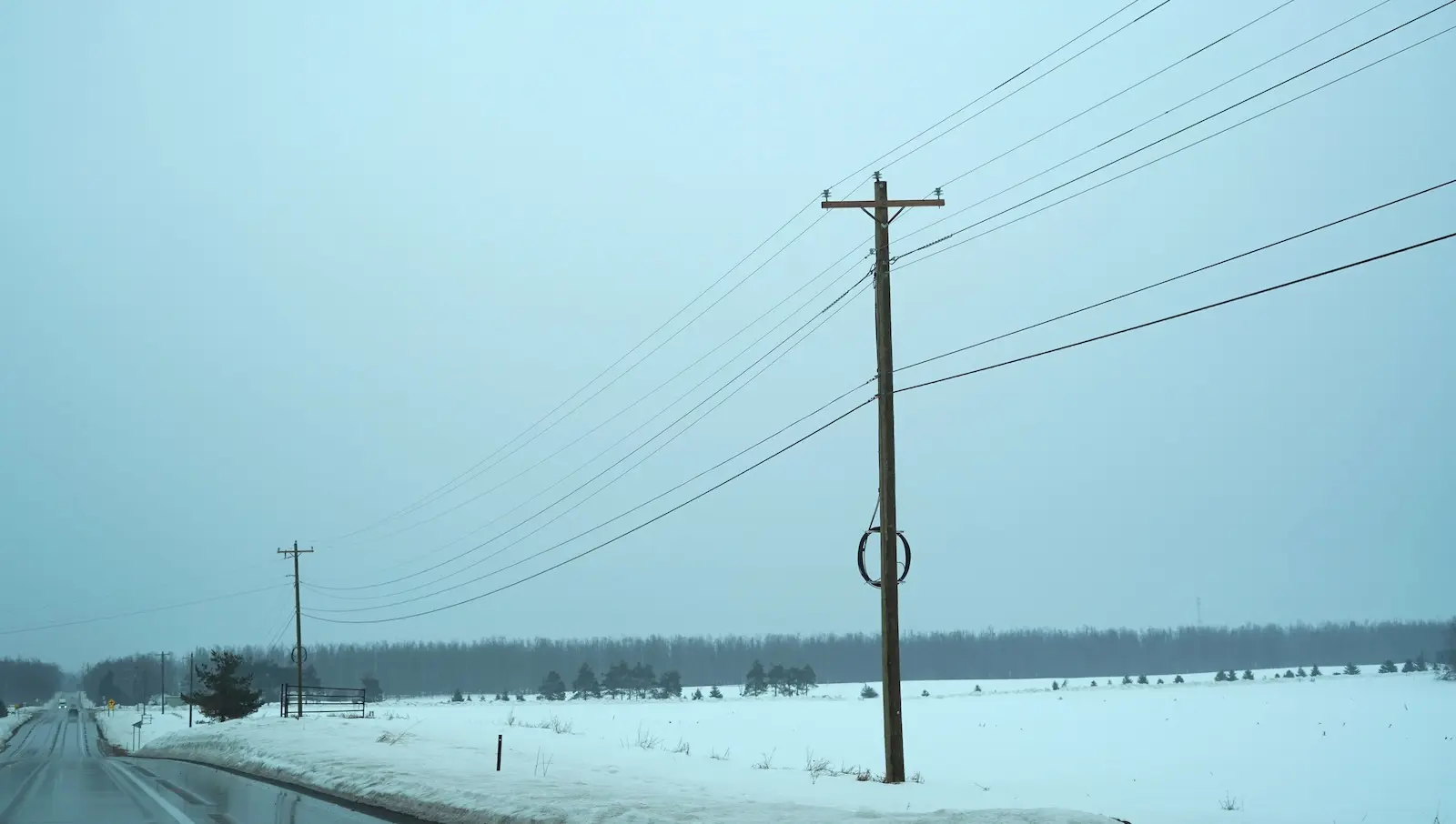 Intact poles and wires along a Michigan highway.