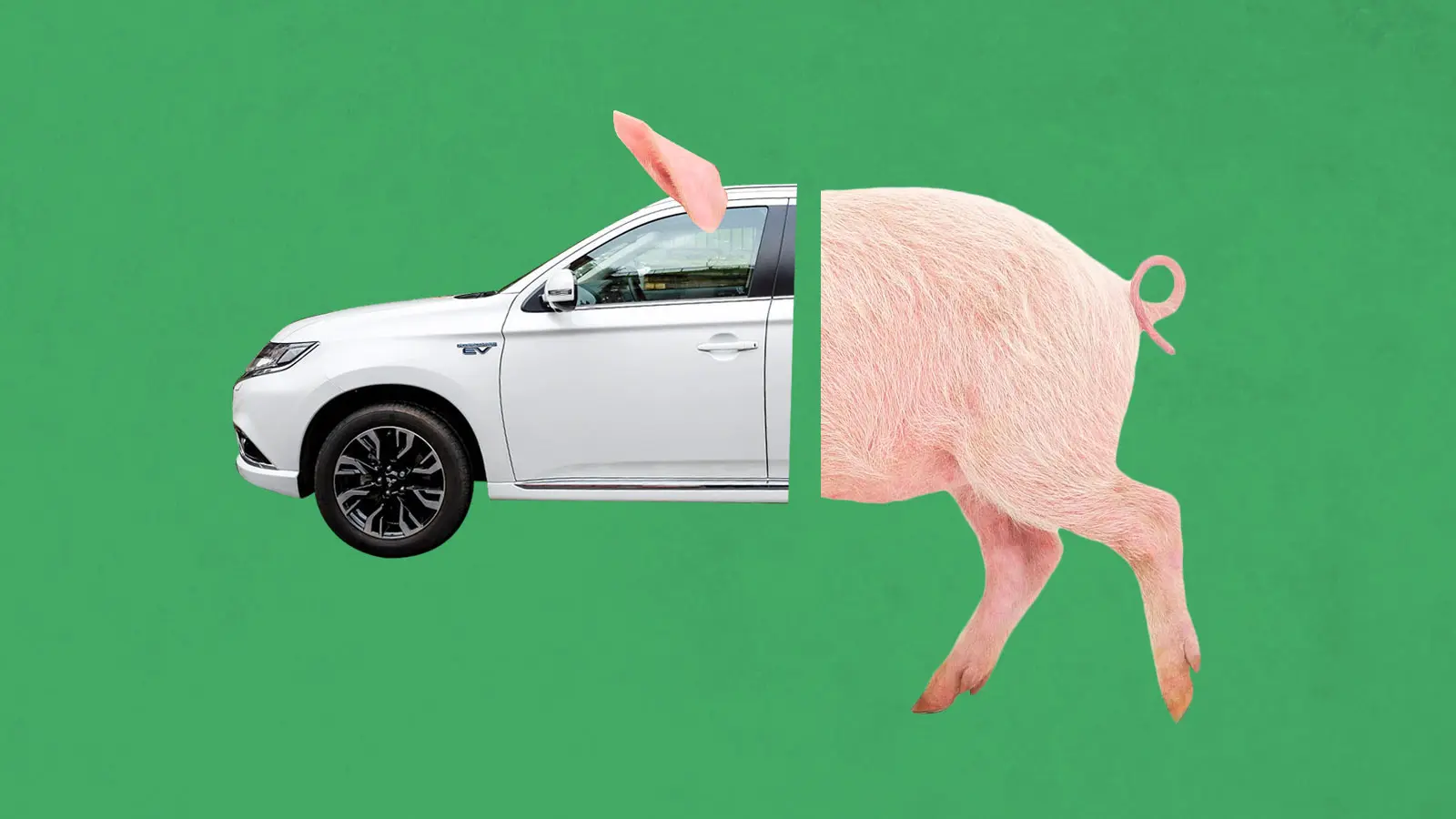 digital collage of back half of a pig and front half of a car with pig ear on top on green background