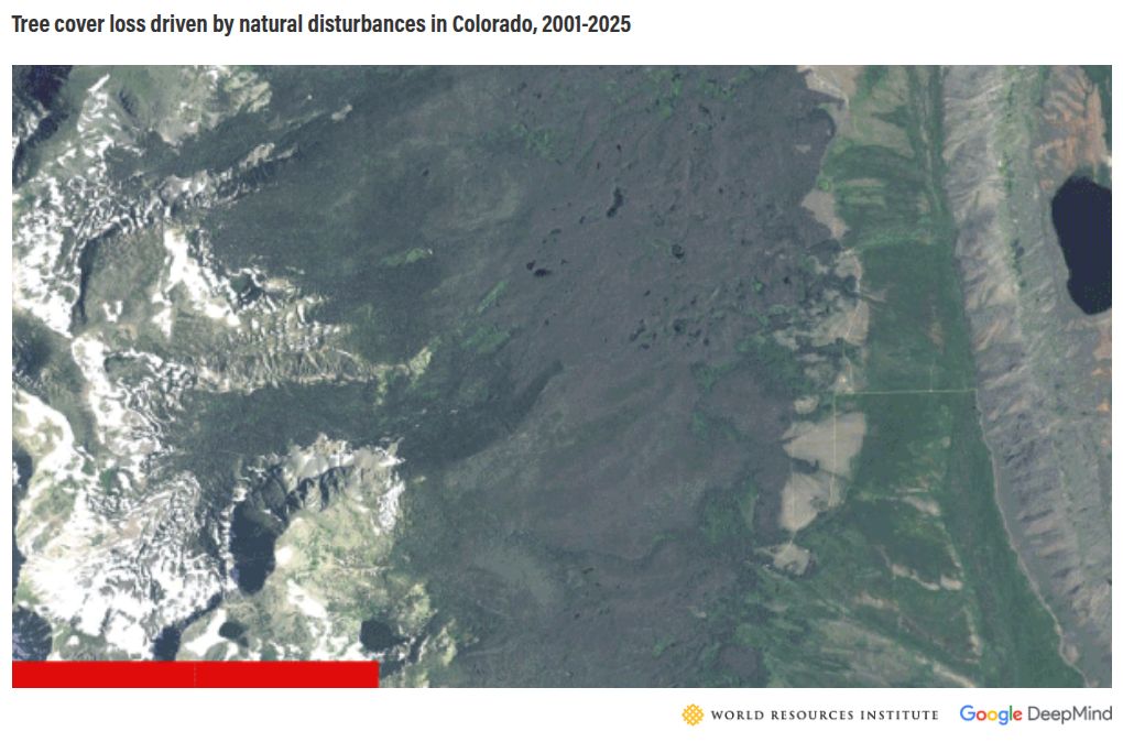 photo-slider visualization