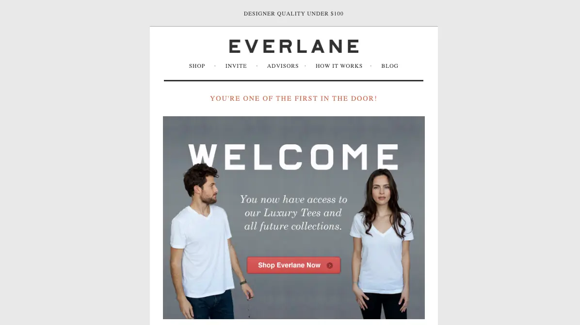 a screenshot of a marketing email from Everlane that reads: