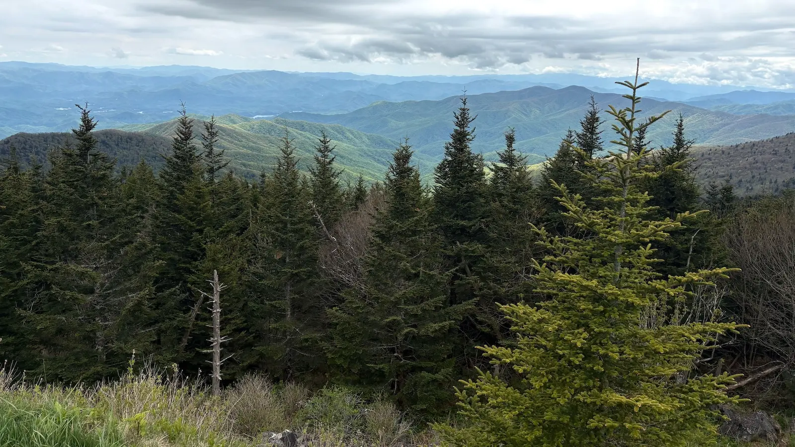 A panoramic vista of Great Smoky Mountains National Park.