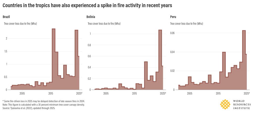 chart visualization