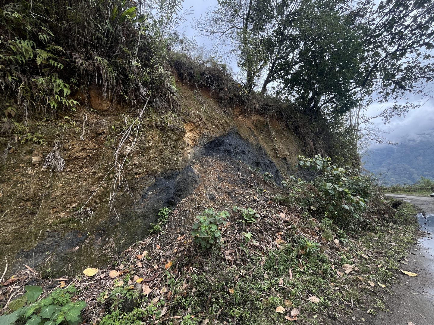 A graphite deposits visible on a hillside near the village of Phop, Arunachal Pradesh, India